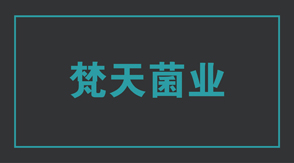食品行業(yè)工作服設(shè)計款式